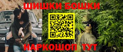 крисы Будённовск