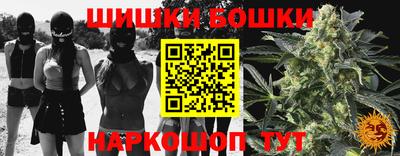 крисы Будённовск
