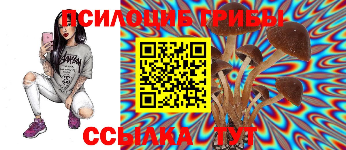 Краснокамск  Галлюциногенные грибы Psilocybe  Вход с VPN 